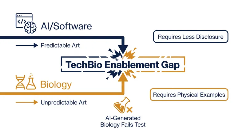 AI-generated biology falls into a regulatory gap between predictable software standards and unpredictable biological standards.