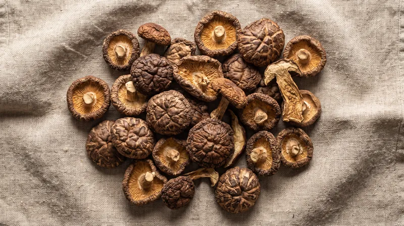 Drying mushrooms activates enzymes that convert RNA into guanylate, a potent nucleotide that amplifies savory flavors in plant-based cooking.