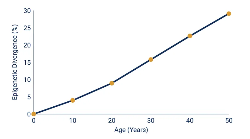 As identical twins age, their initially identical epigenomes diverge due to different environmental exposures.
