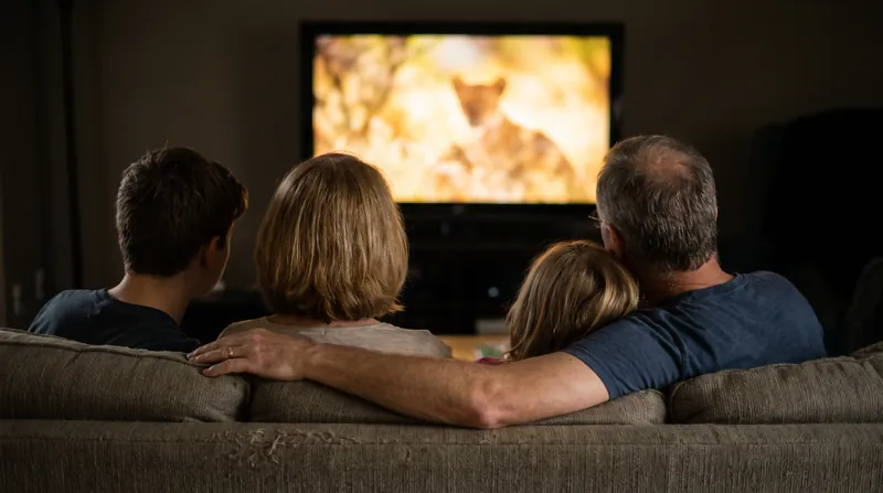 Panel data provides the demographic truth-set that big data lacks.