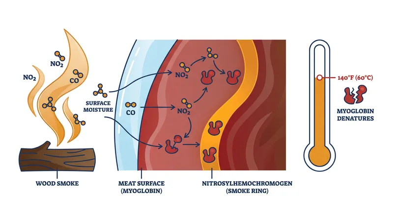 The smoke ring forms when wood gases react with myoglobin before the meat reaches 140°F.