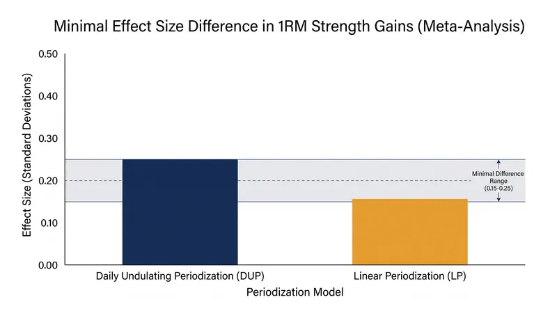 While undulating models show a slight statistical edge in strength gains, the absolute difference is often negligible in practice.