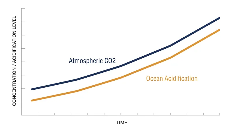 As atmospheric carbon dioxide concentrations rise, the ocean absorbs more carbon, driving a steady increase in acidification.