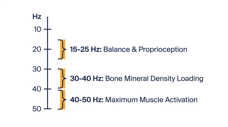The physiological benefits of vibration therapy are highly dependent on the specific frequency (Hz) utilized.