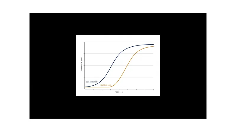 In many neurodegenerative models, the activation of glial cells significantly precedes the actual loss of neurons.