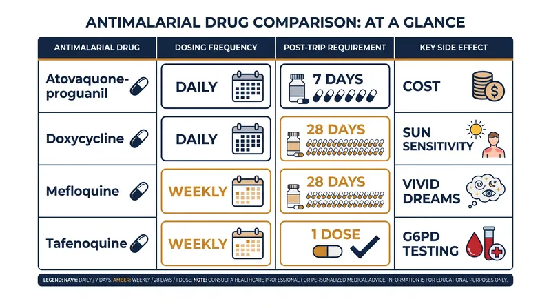How the four primary prophylactic medications compare in dosing and side effects.