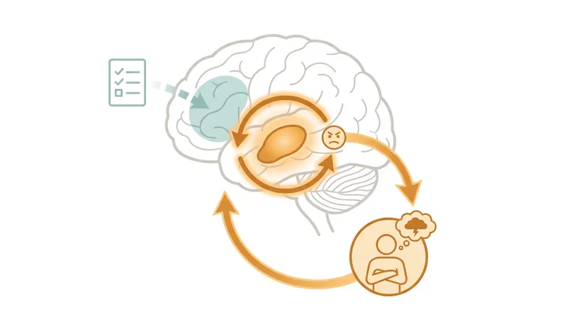 When faced with a stressful task, the brain's threat-detection center overrides long-term planning.