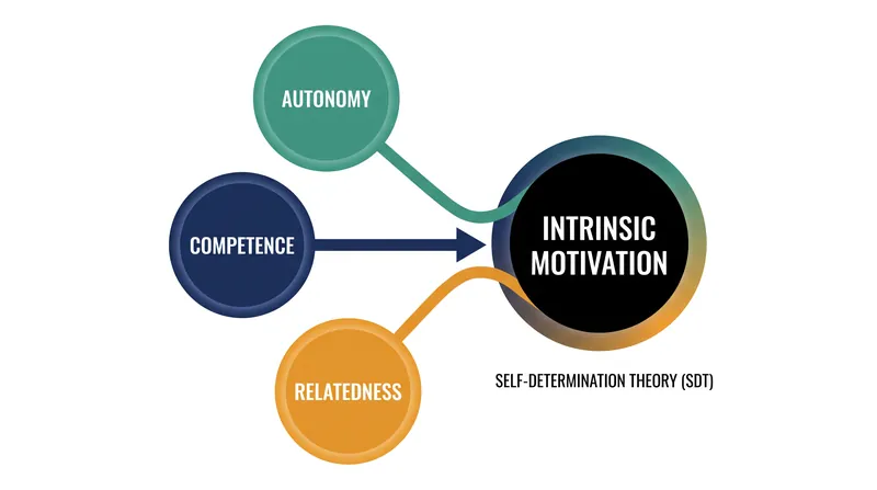 Self-Determination Theory posits that fulfilling three core psychological needs unlocks intrinsic drive.