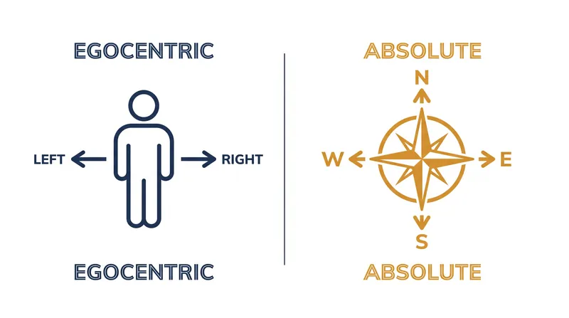 Egocentric versus absolute spatial frameworks dictate how speakers navigate their environments.