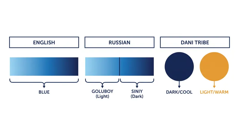 How English, Russian, and the Dani language divide the visual color spectrum.