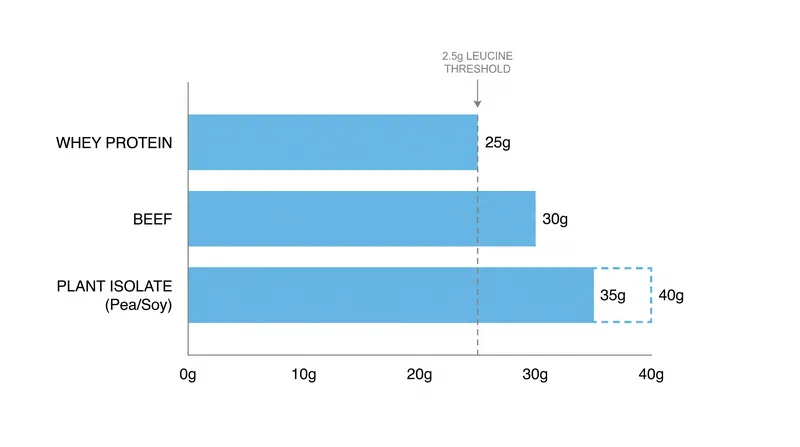 Because plant proteins generally contain less leucine by weight, a slightly higher total dose per meal is required to trigger muscle protein synthesis.