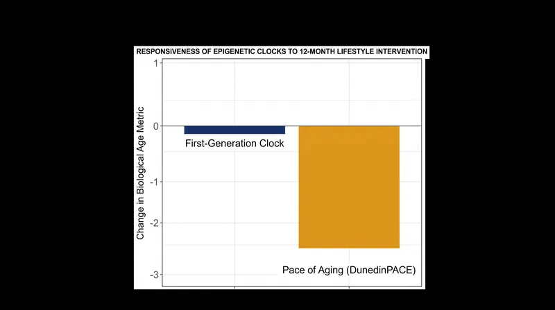 Pace-of-aging models are highly sensitive to short-term lifestyle interventions, whereas first-generation clocks remain static.