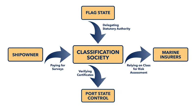 Classification societies sit at the center of a complex web of maritime governance, acting as technical proxies for governments and risk assessors for insurers.