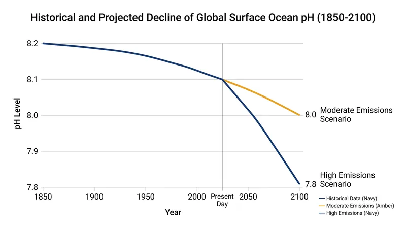 Historical and projected global surface ocean pH levels under different emission scenarios.