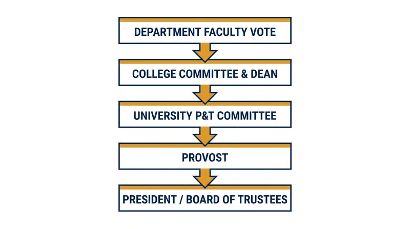 A tenure dossier must survive multiple layers of administrative review, and a positive departmental vote can be overturned at higher levels.