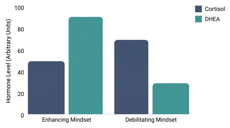 The stress-is-enhancing mindset triggers a sharper increase in anabolic growth hormones.