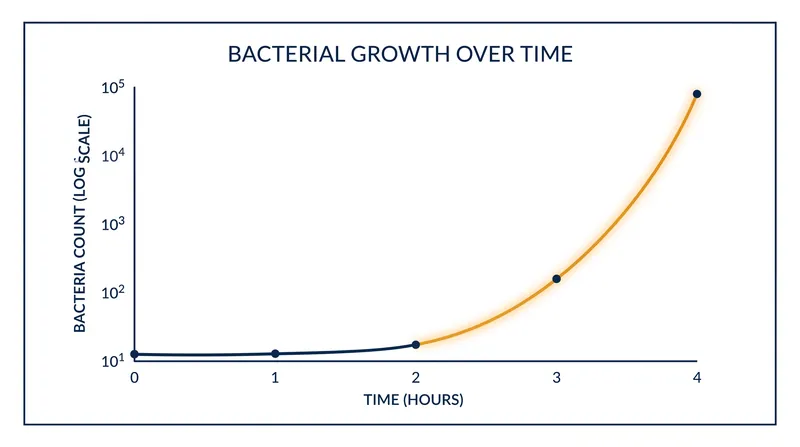 Through binary fission, bacterial populations can double every twenty minutes under ideal conditions.