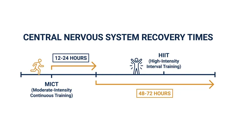 The hidden cost of intensity: why HIIT requires significantly longer recovery periods for the central nervous system.