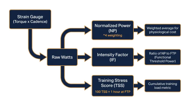 How raw mechanical data is transformed into physiological metrics.