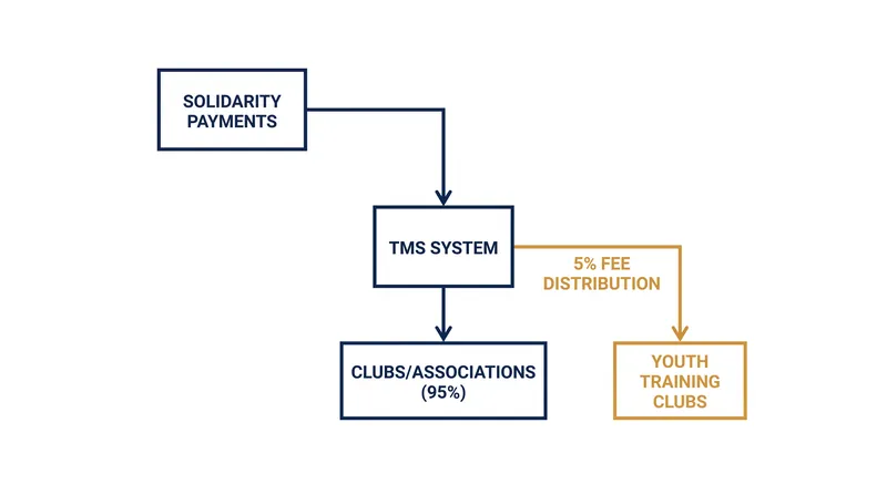 TMS automatically calculates the 5% solidarity contribution, ensuring grassroots clubs are compensated for developing elite talent.
