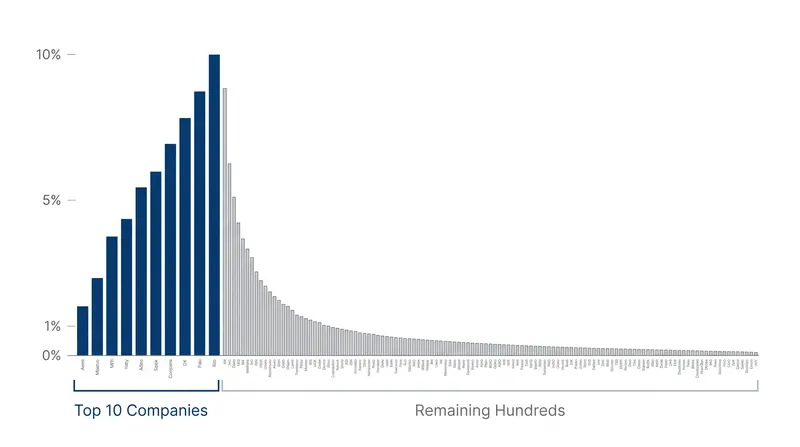Because they are weighted by size, standard index funds can become heavily concentrated in a handful of mega-cap corporations.