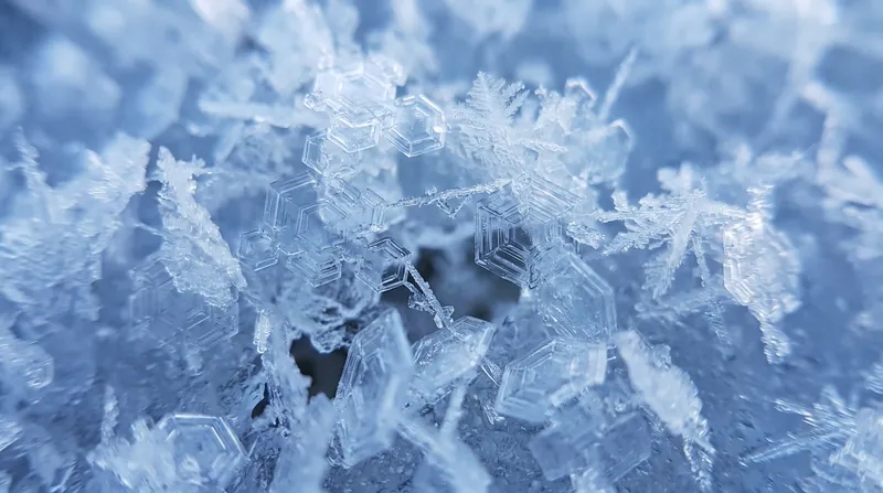 Temperature gradients transform cohesive snowflakes into angular facets or feathery surface hoar, creating the weak layers responsible for most backcountry avalanches.