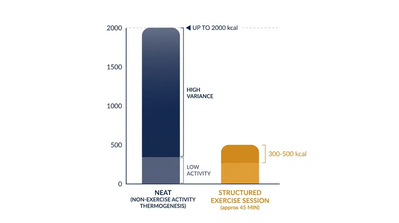 The potential daily calorie expenditure from non-exercise activity far exceeds what most people burn in a single workout.