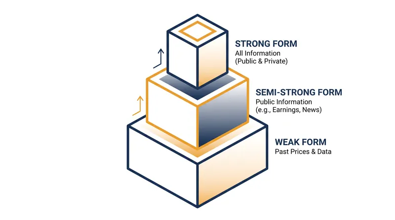 The Efficient Market Hypothesis exists on a spectrum, from assuming prices reflect past data to assuming they reflect all public and private information.