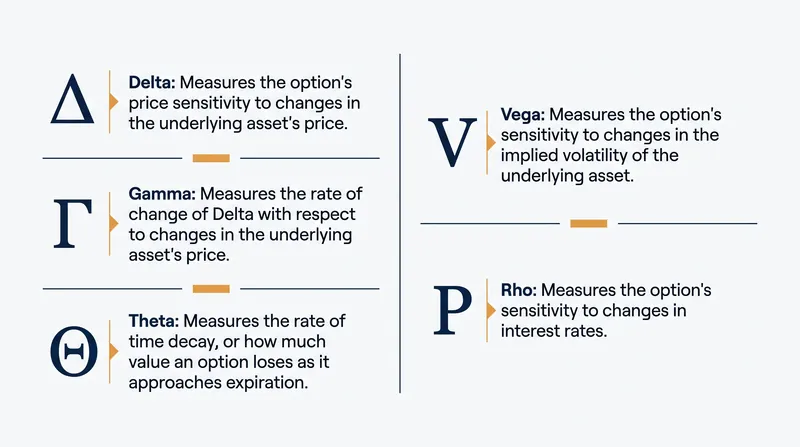 The 'Greeks' quantify an option's sensitivity to various market factors.