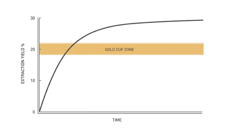The Gold Cup Standard targets an 18 to 22 percent extraction yield for optimal flavor balance.
