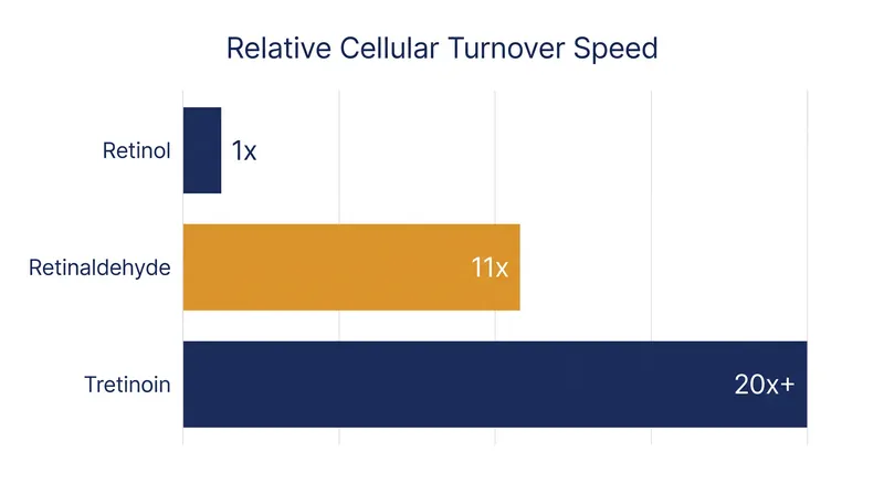 Retinaldehyde bridges the gap between standard retinol and prescription tretinoin.