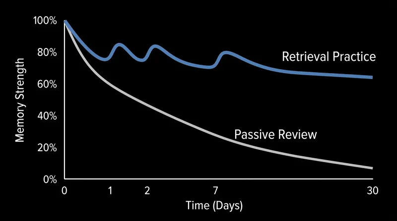 Retrieval practice interrupts the natural decay of memory, flattening the forgetting curve over time.