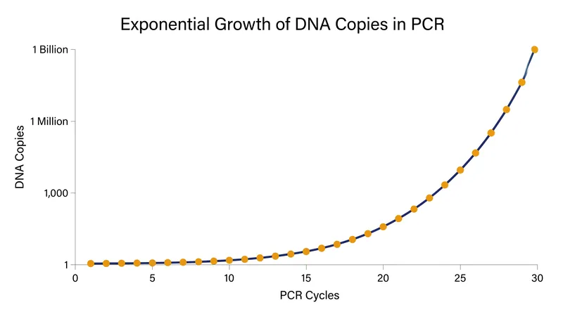 DNA amplification follows a strict exponential curve, yielding over a billion copies in 30 cycles.