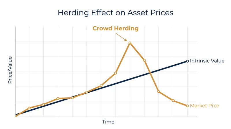 Herding behavior drives asset prices far above their intrinsic value, creating bubbles that eventually collapse.