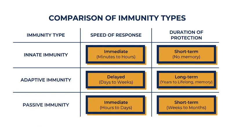 Each type of immunity operates on a trade-off between deployment speed and protective longevity.