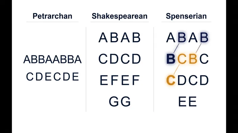 The structural evolution of the sonnet from the Italian octave-sestet to the English quatrain-couplet.