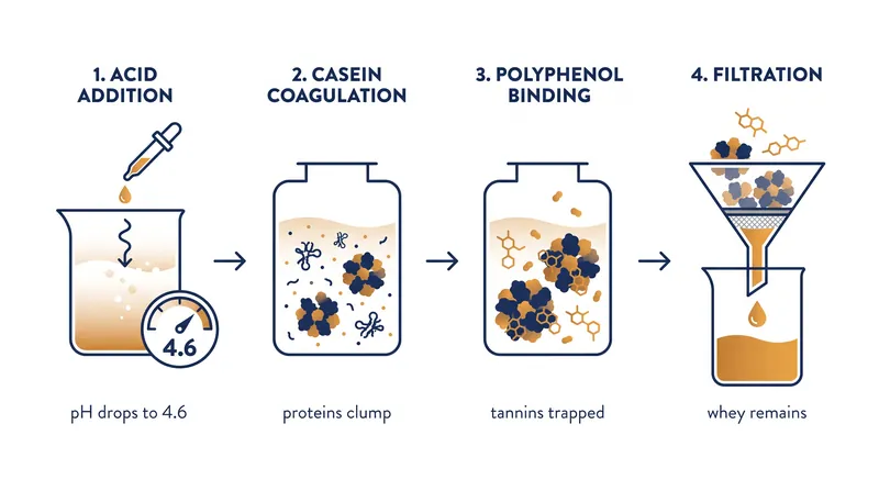 The chemical mechanism of milk clarification relies on casein proteins hitting their isoelectric point.