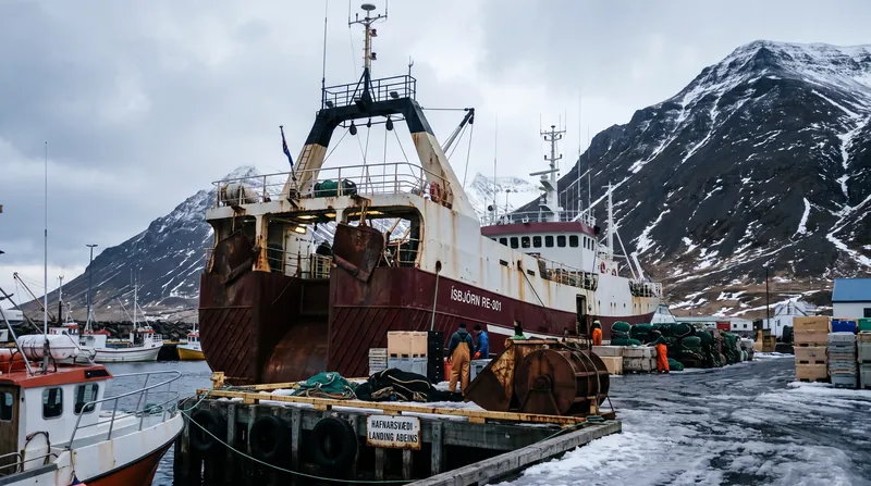 Control over Iceland's lucrative fishing waters was a central issue in the campaign against joining the European Union.
