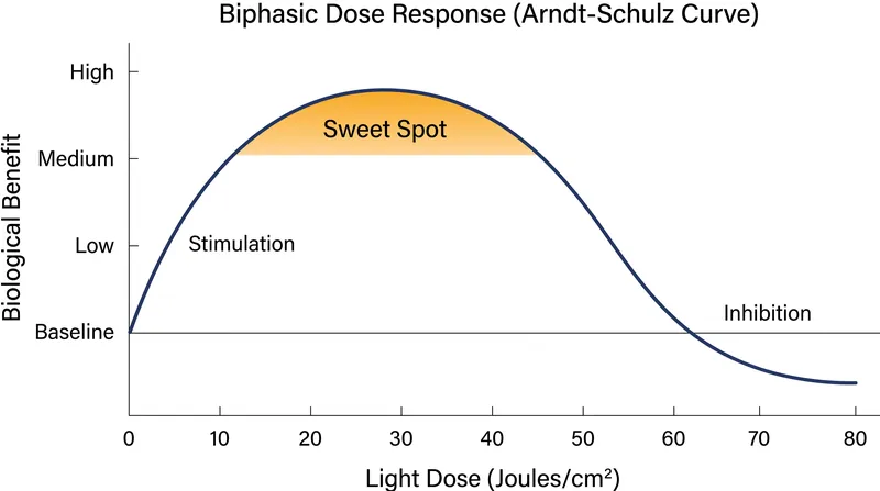 The biphasic dose response dictates that both under-dosing and over-dosing fail to produce clinical benefits.