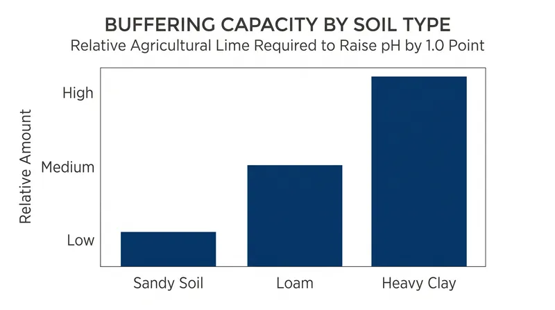 Clay soils possess a higher buffering capacity, requiring more amendments to shift their pH than sandy soils.