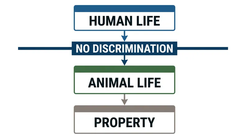 Regulatory frameworks increasingly mandate that autonomous systems cannot discriminate between human lives based on age, gender, or physical condition.