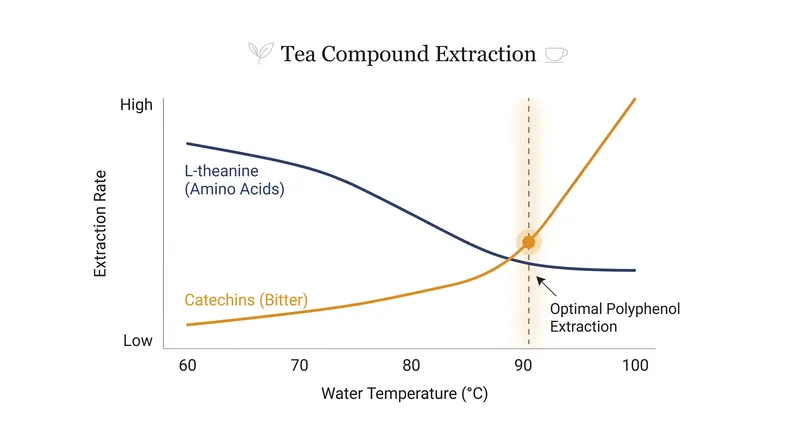 Water temperature dictates which chemical compounds dominate your cup.