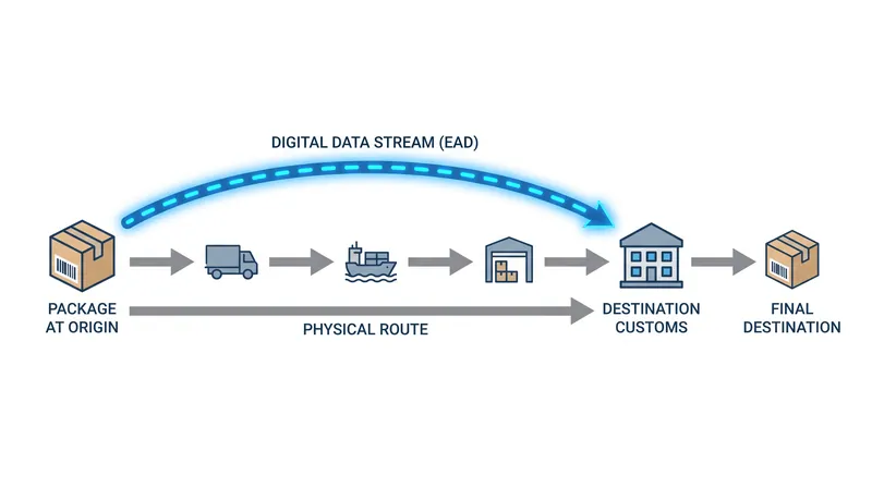 Electronic Advance Data (EAD) must clear customs digitally before the physical package arrives at the border.
