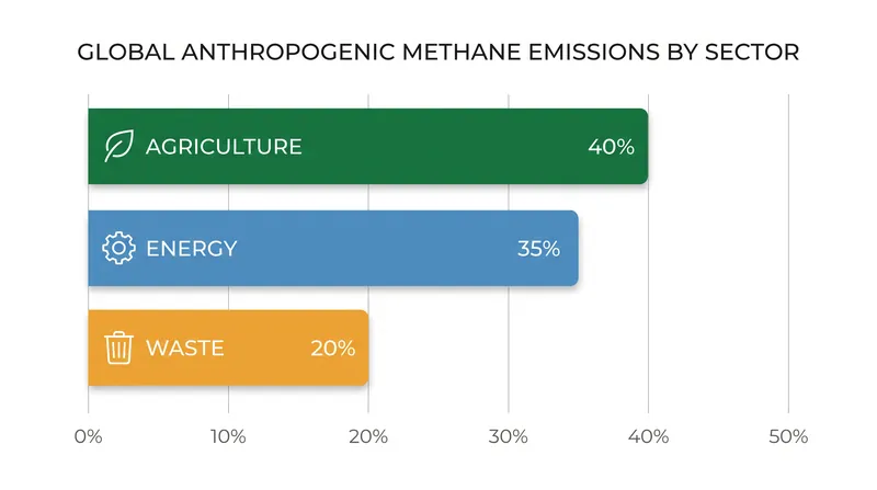 Agriculture remains the largest source of human-caused methane, despite being the hardest to monitor from space.
