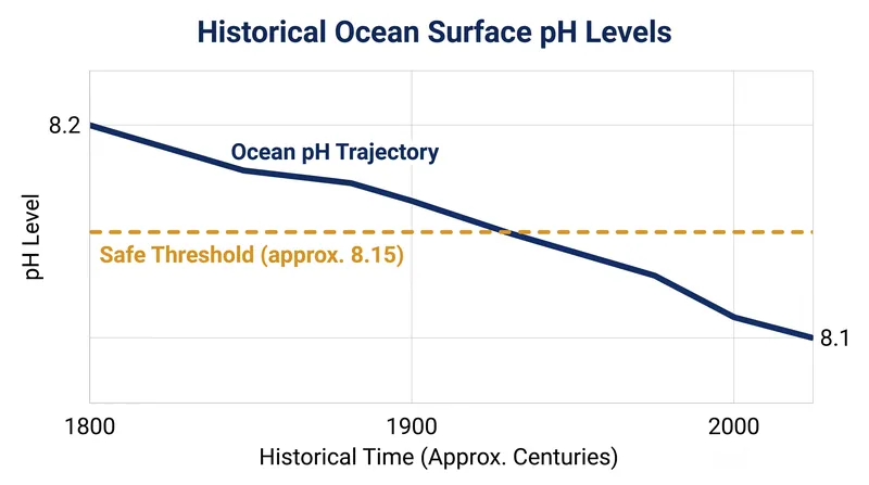 Ocean acidification became the seventh boundary to be officially breached in 2025.