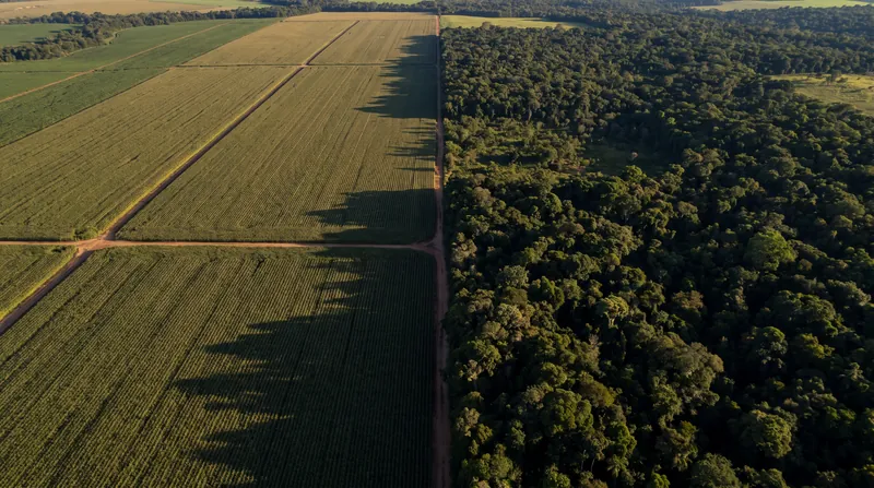 Land-system change, driven largely by agricultural expansion, directly impacts both biosphere integrity and freshwater cycles.