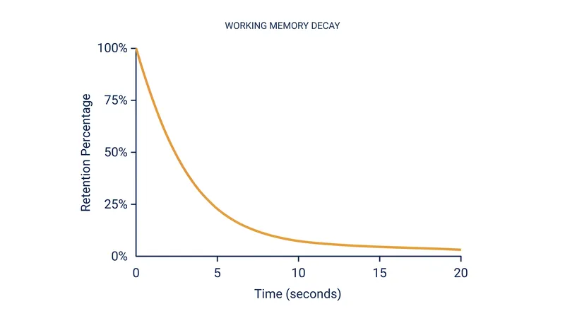 Without active rehearsal, new information decays in working memory within 15 to 20 seconds.