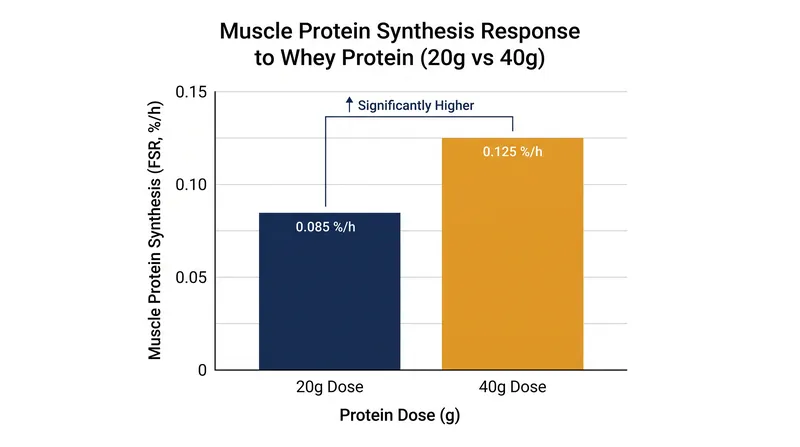 Whole-body compound exercises increase the amount of protein the body can utilize in a single meal.