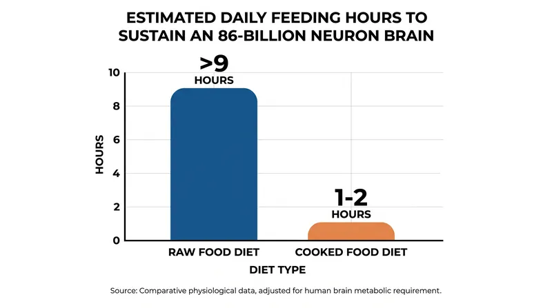 A raw food diet imposes a hard metabolic limit on brain size due to the hours required for feeding.