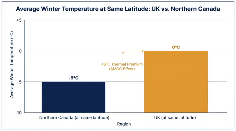 The thermal energy transported by the AMOC keeps Western Europe significantly warmer than regions at similar latitudes.